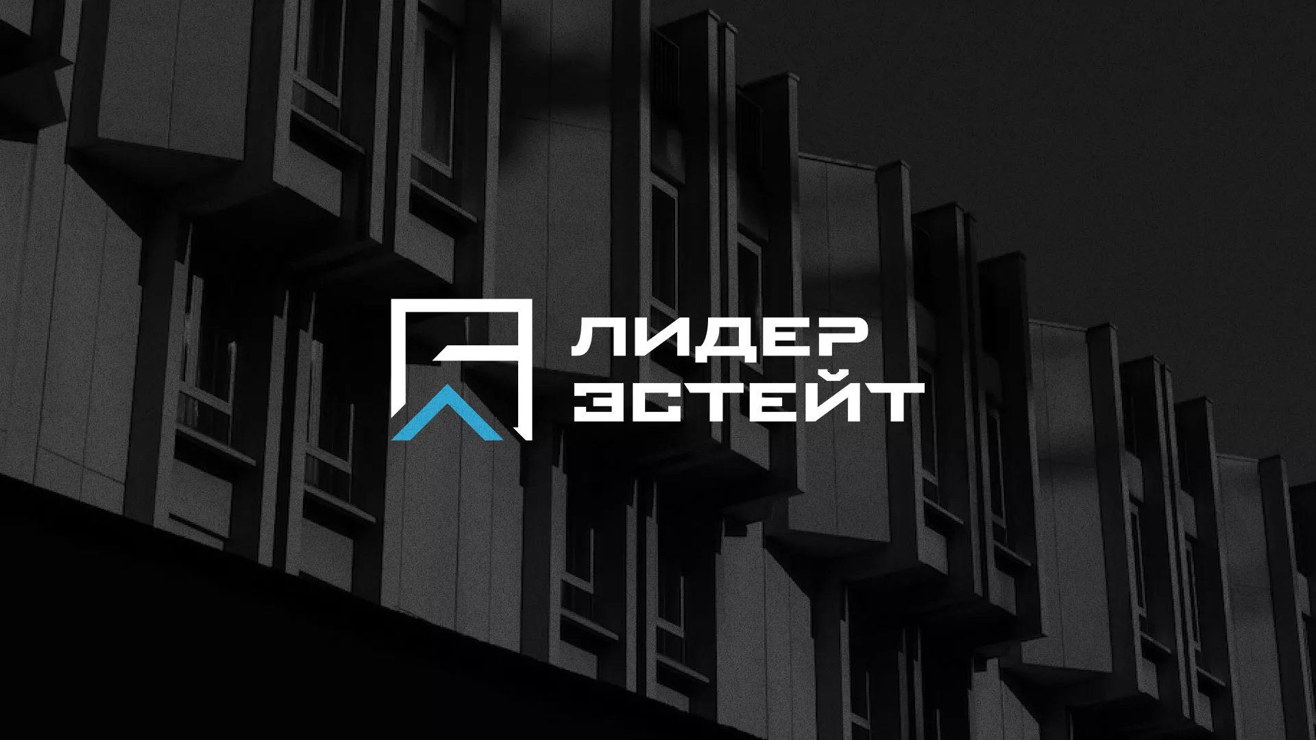Разработка логотипа агентства недвижимости «Лидер Эстейт» в Среднеуральске